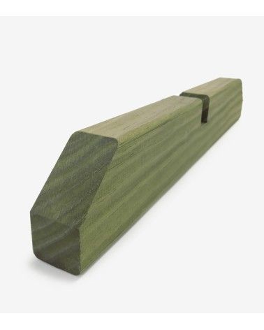 PIE CELOSIA 40*6.8*3.4 VERDE 1UNIDAD