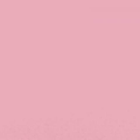 CARTULINA ROSA 50*65