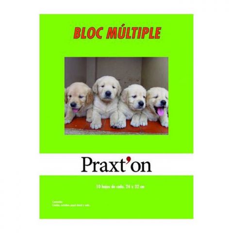 BLOC MANUALIDADES PRAXTON